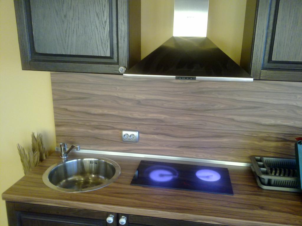Mountain Dreams Apartment ساباريفا بانيا المظهر الخارجي الصورة